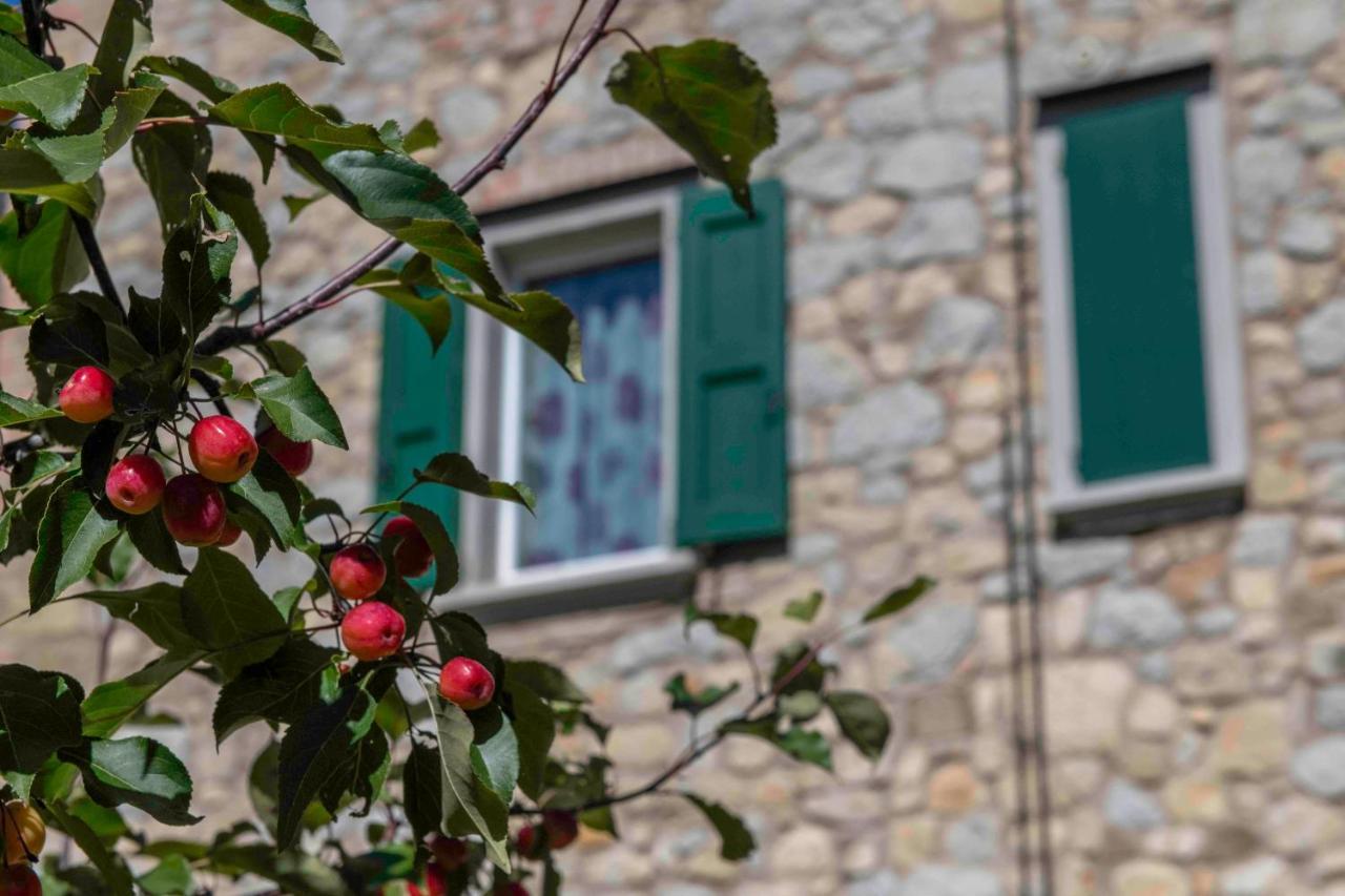 Podere Pratizzoli Tole Dış mekan fotoğraf