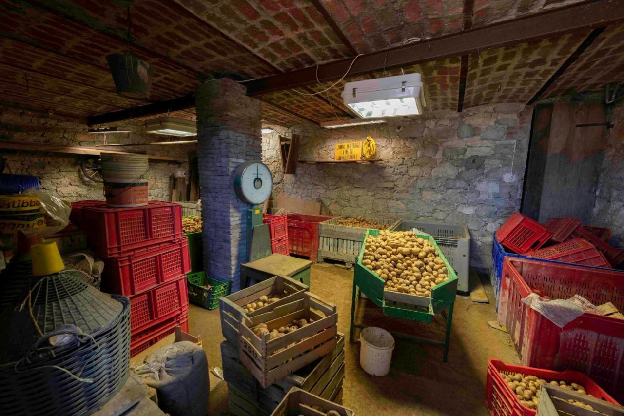 Podere Pratizzoli Tole Dış mekan fotoğraf