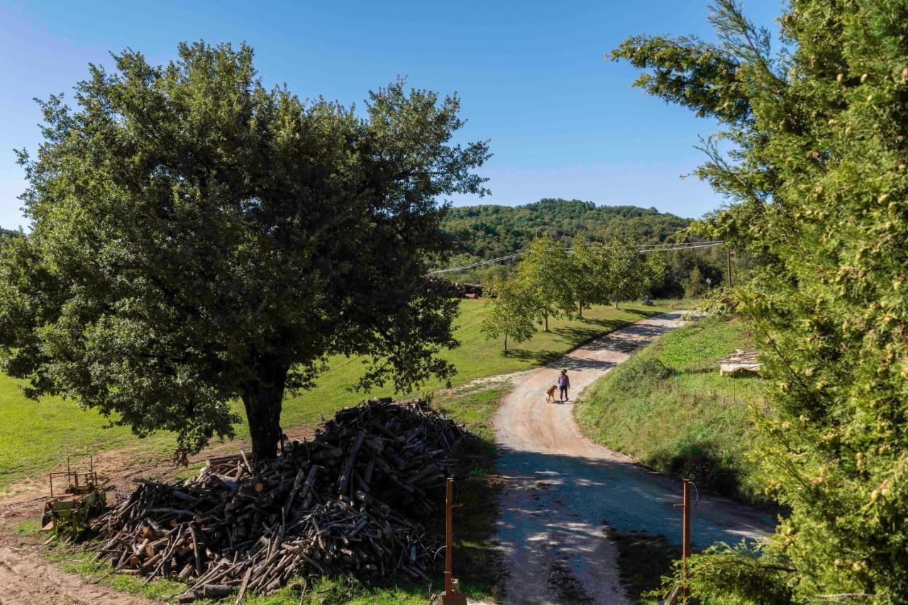 Podere Pratizzoli Tole Dış mekan fotoğraf